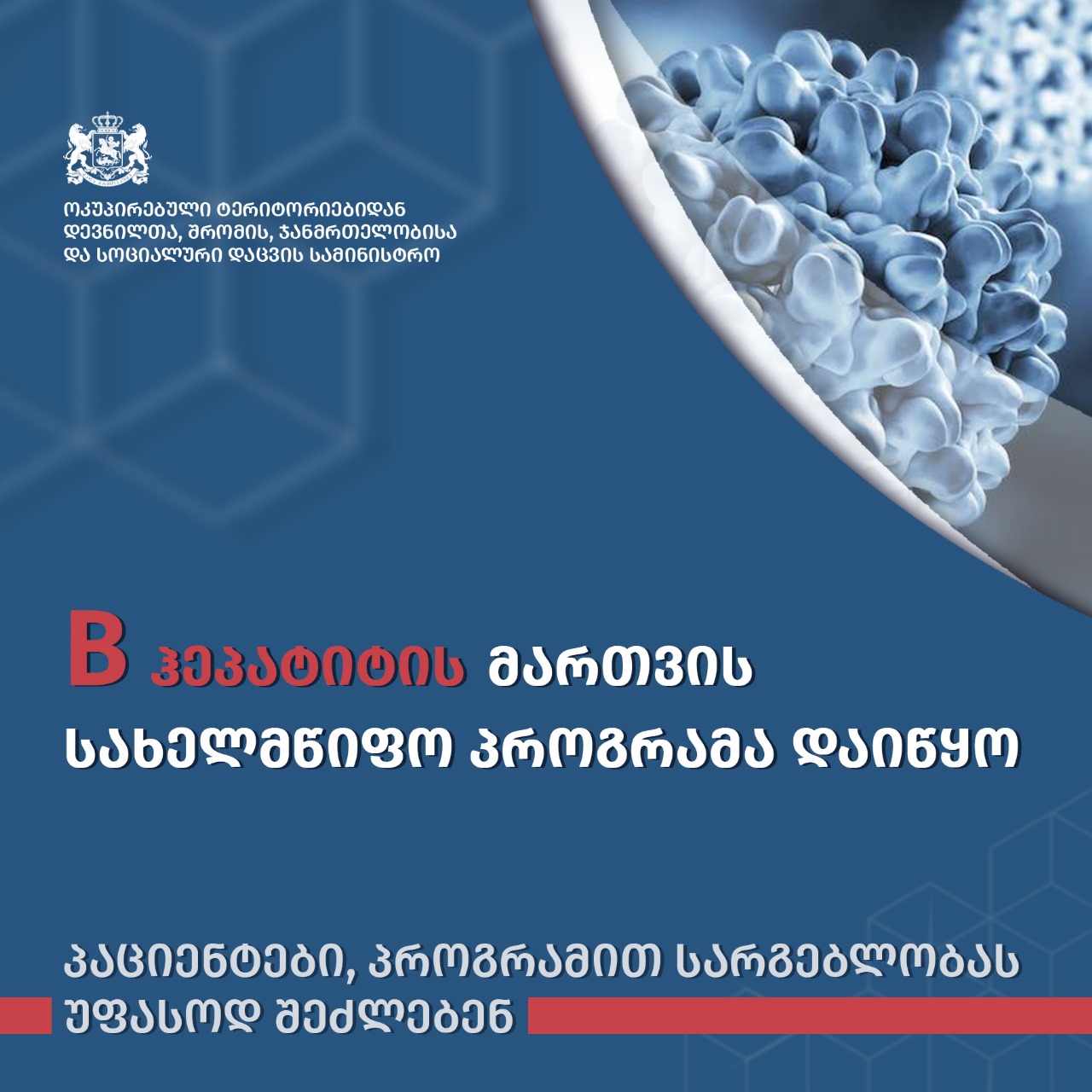 საქართველოში B ჰეპატიტის მართვის სახელმწიფო პროგრამა დაიწყო