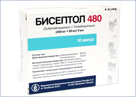 ბისეპტოლი 480 / BISEPTOL 480