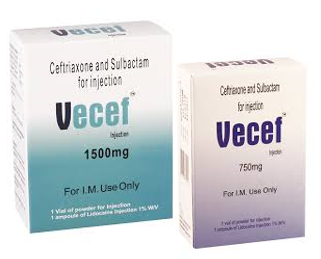 ვეცეფი / Vecef