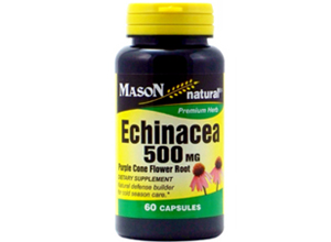 ექინაცია / Echinacea