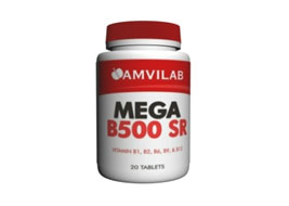 მეგა ბ 500 სრ / MEGA B 500 SR